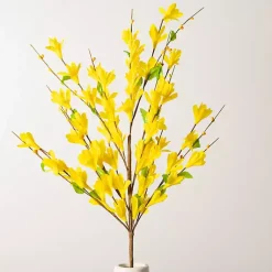 Outlet Forsythia Stem, 30 in. Stems & Bouquets