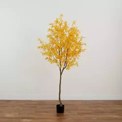 Hot Maple Tree in Black Planter, 7 ft. Trees & Topiaries