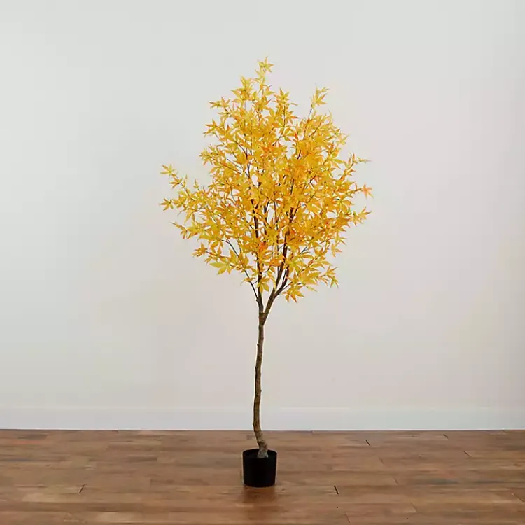 Hot Maple Tree in Black Planter, 7 ft. Trees & Topiaries