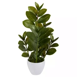 Best Zamioculcas Plant in Chic White Planter Arrangements & Greenery