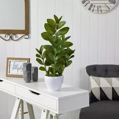 Best Zamioculcas Plant in Chic White Planter Arrangements & Greenery